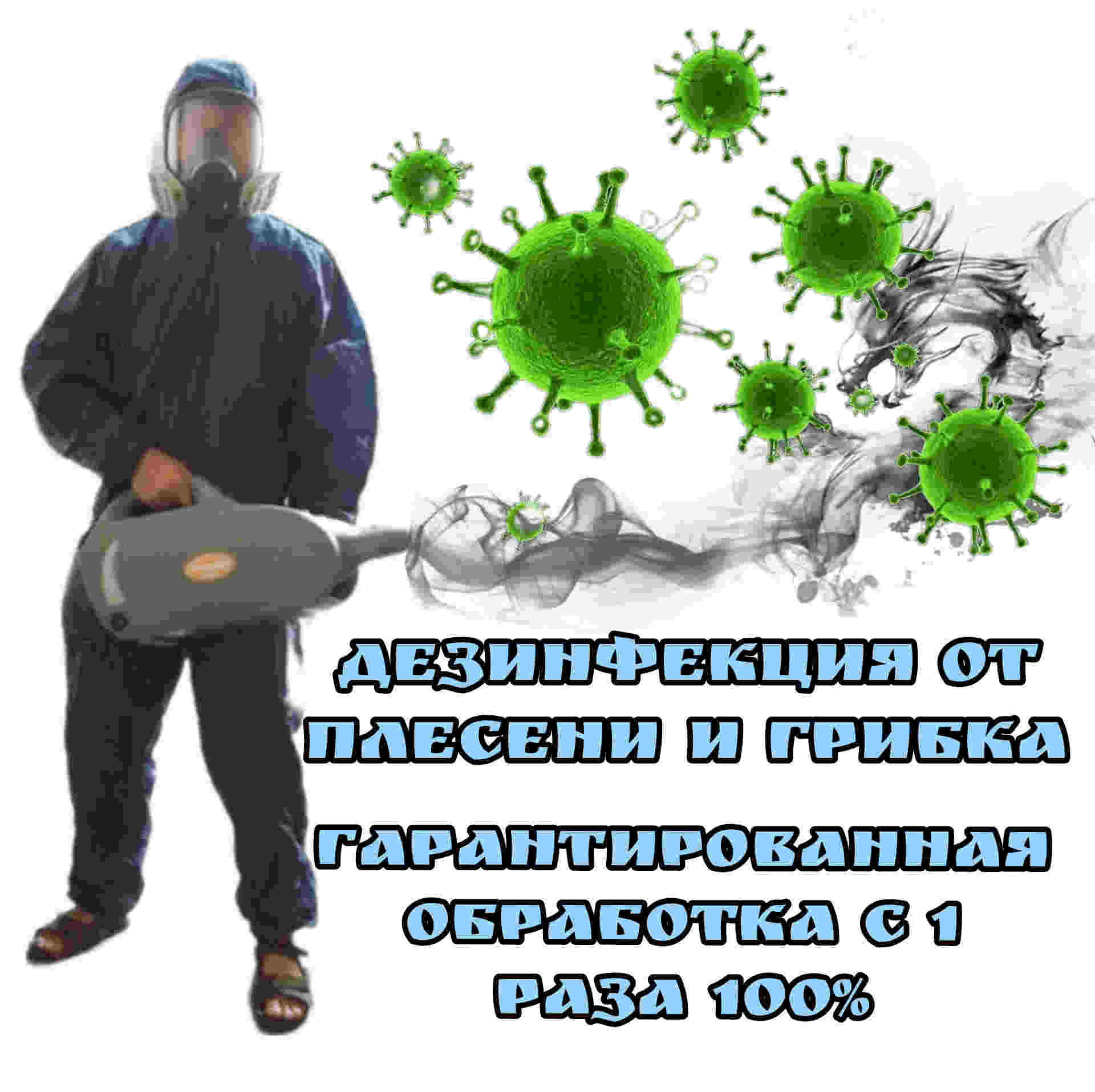 дезинфекция от плесени и грибка
