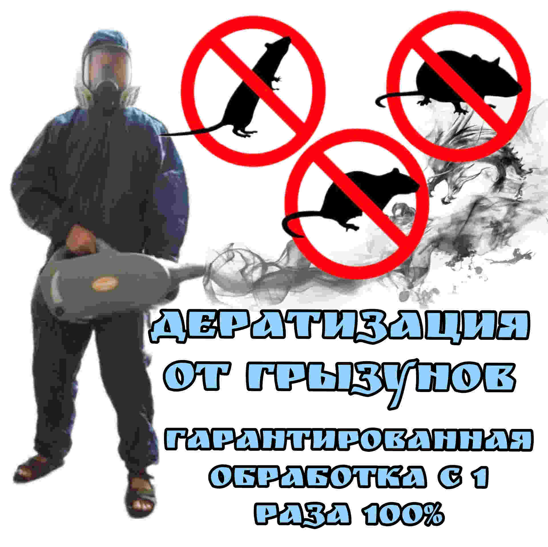 Дератизация от крыс и мышей