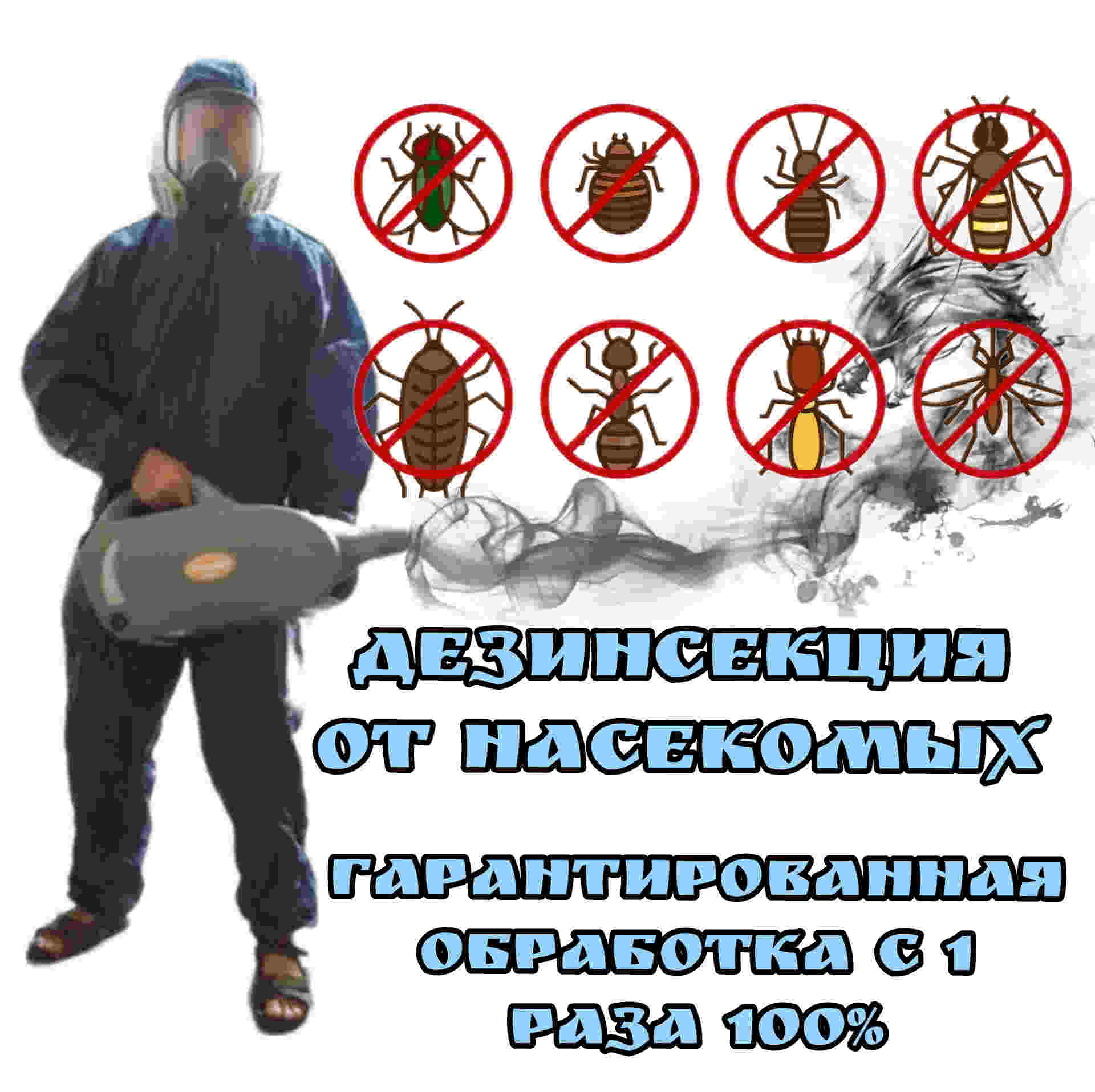 дезинсекция от насекомых