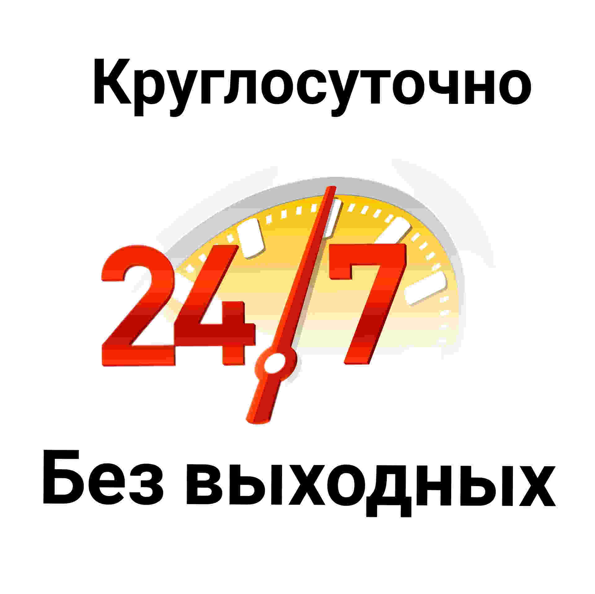 дезинсекция круглосуточно