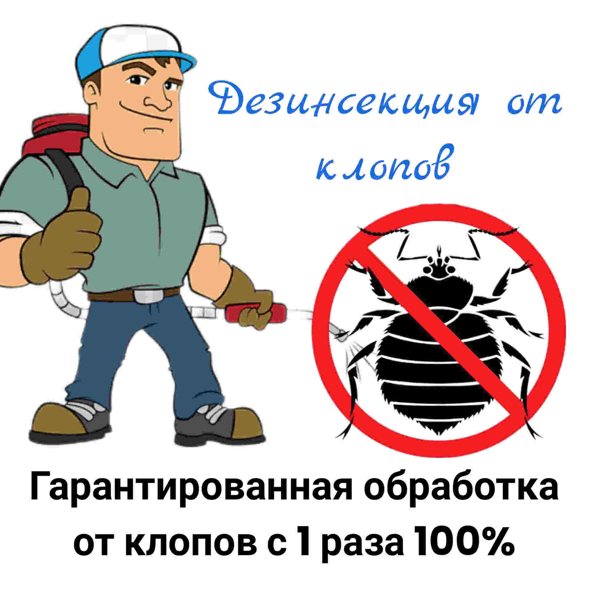 служба от клопов