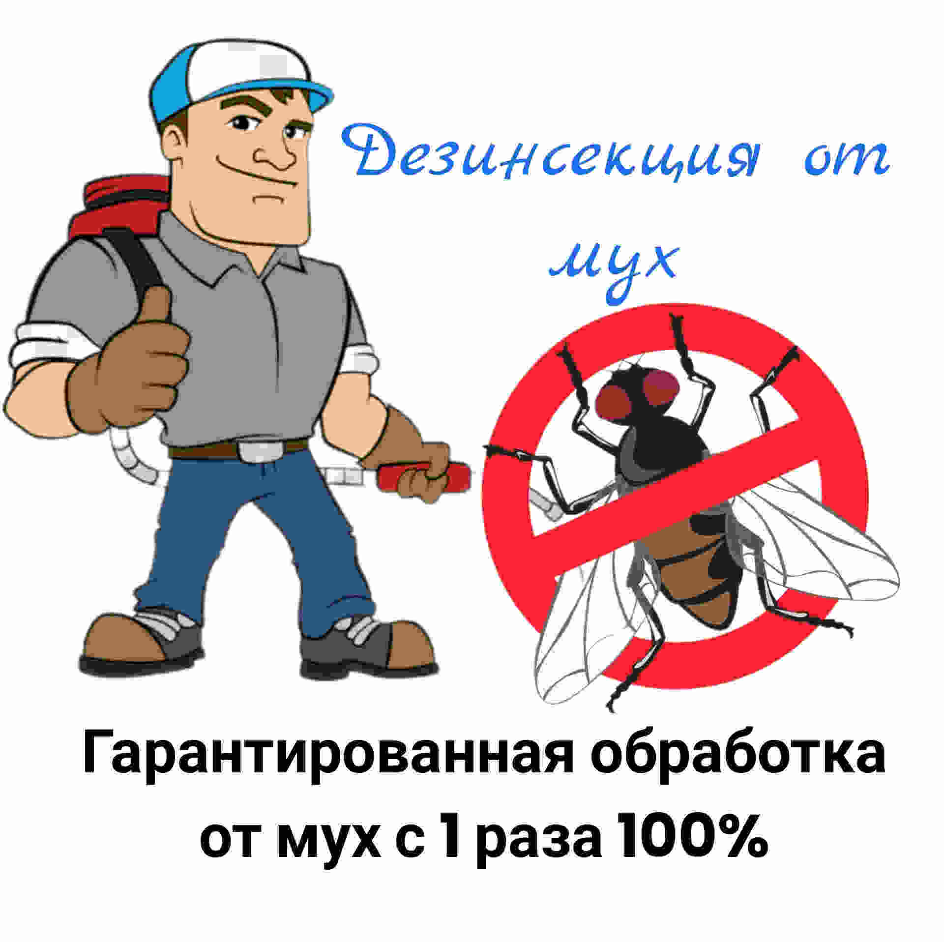 Служба от мух
