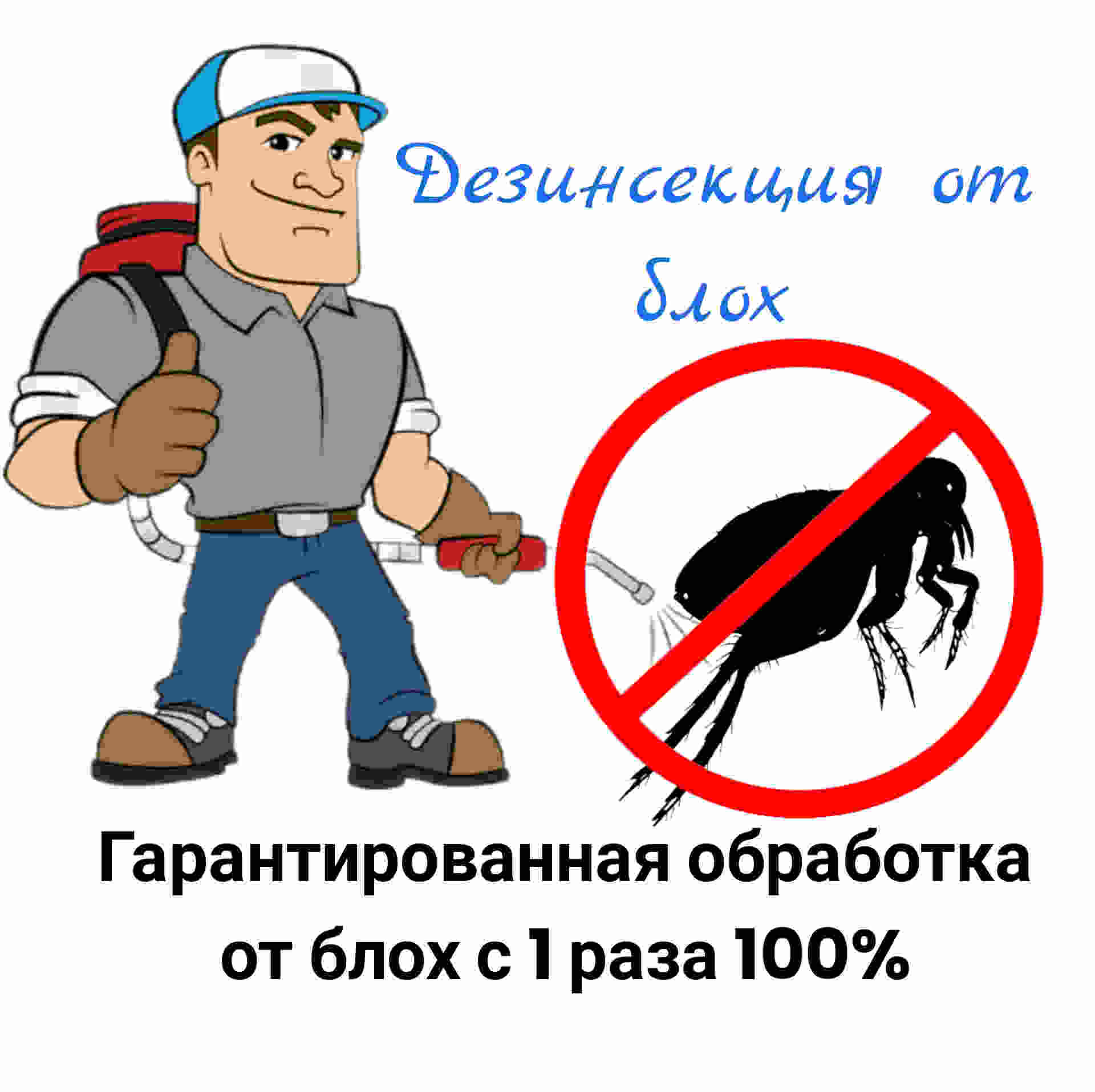 Служба от блох