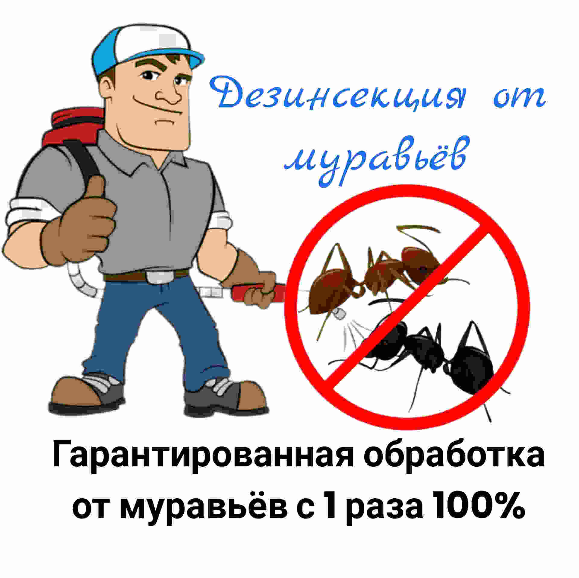 Служба от муравьев