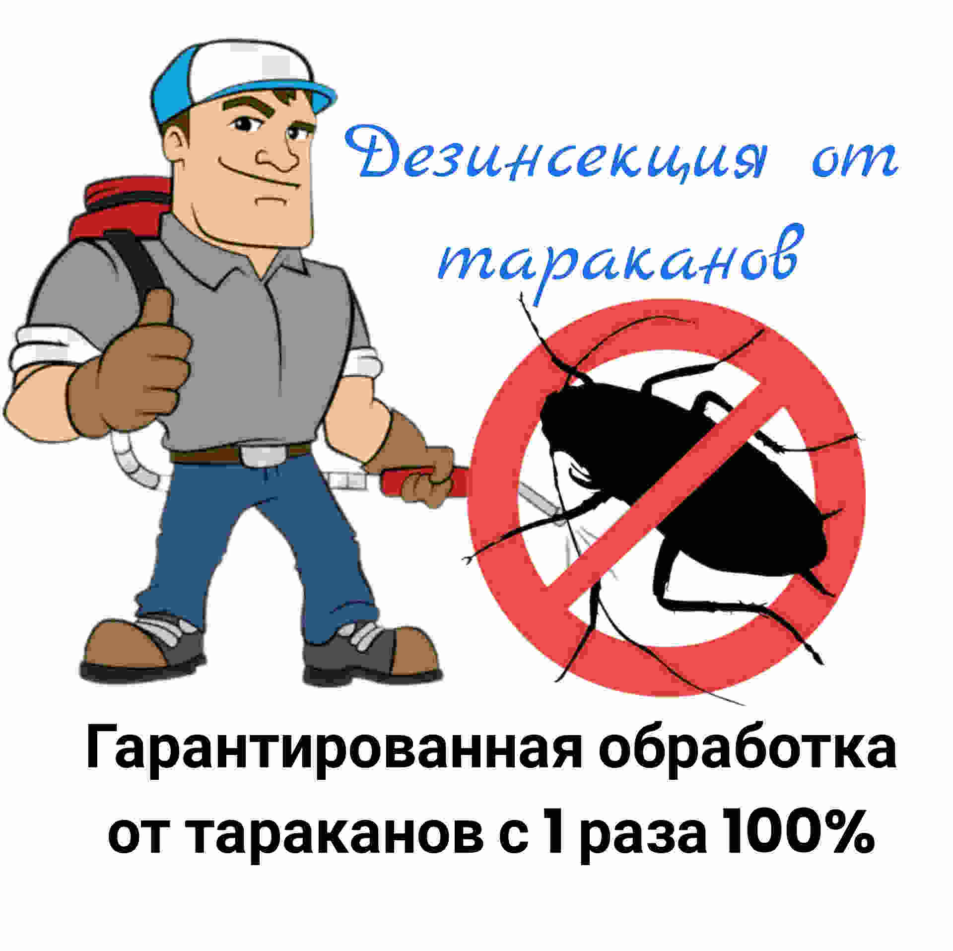 служба от тараканов