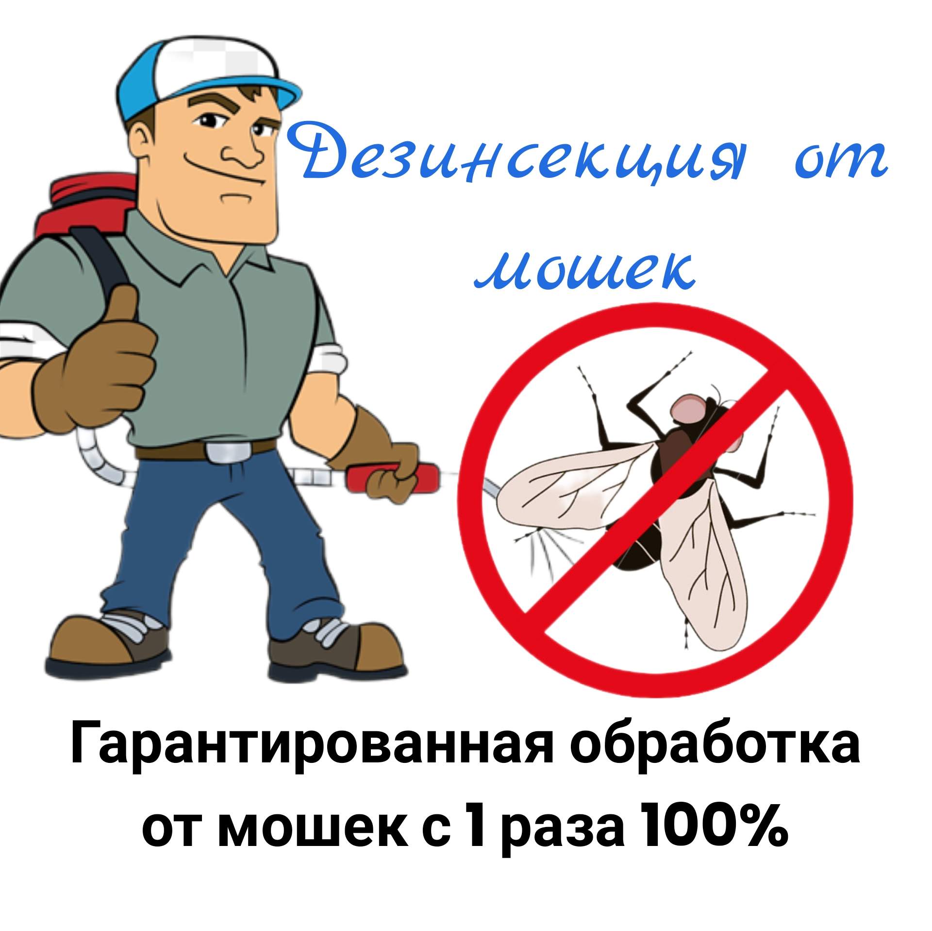 Служба от мошек